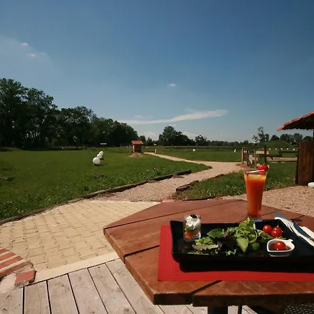 Domaine Des Brouilles